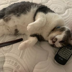 Meet your Posher, Pat